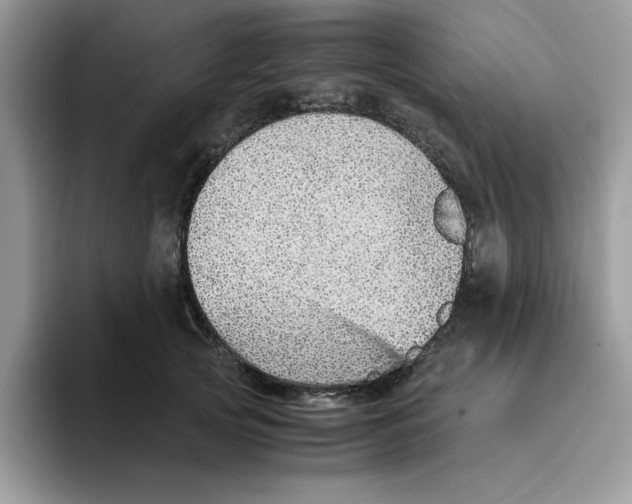 X0000093510753200711091721