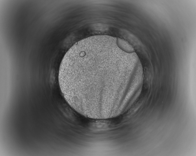 X0000093510758200711091721