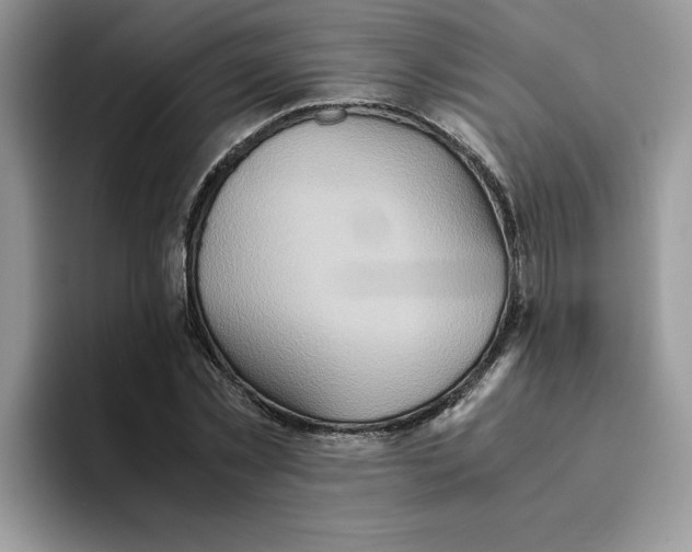 X0000093510781200711091720