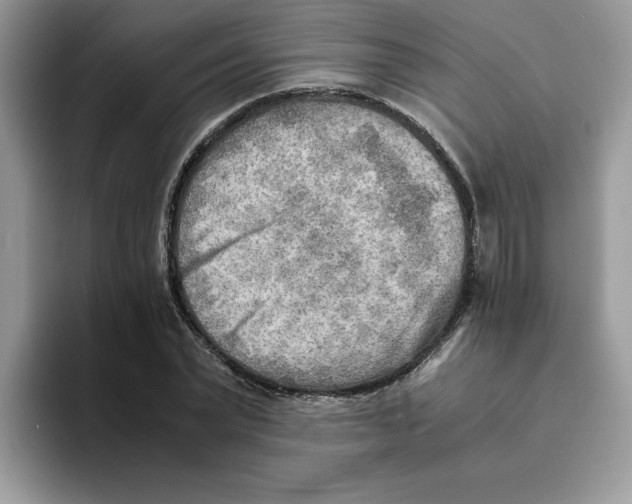 X0000093510783200711091720