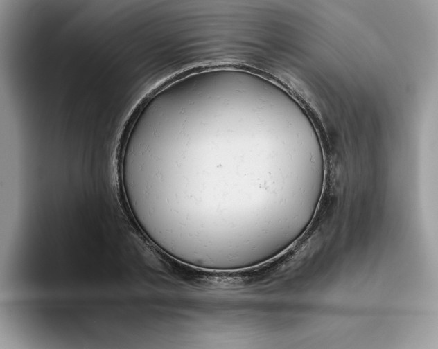 X0000093510789200711091720