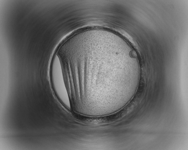 X0000093510791200711091720