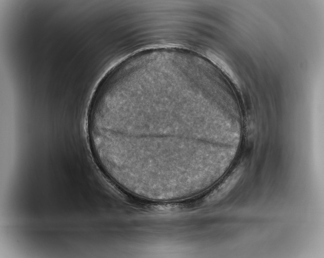 X0000093510797200711091720