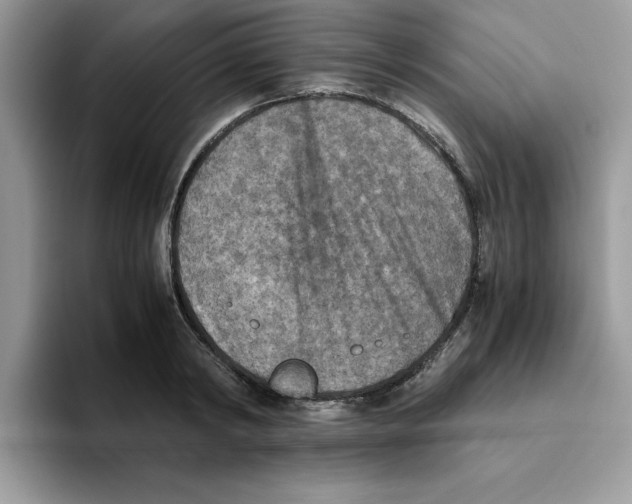 X0000093510798200711091720