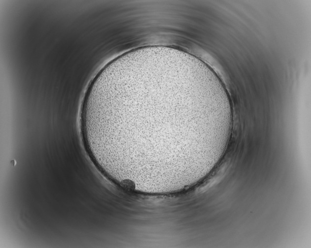 X0000093510803200711091720