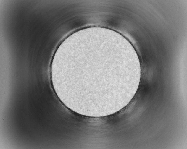 X0000093510807200711091720