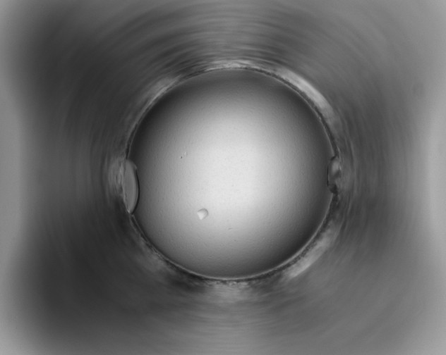 X0000093510809200711091720