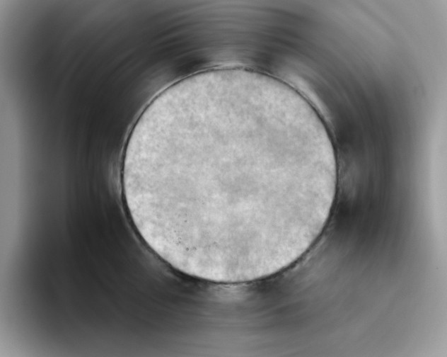 X0000093510810200711091720