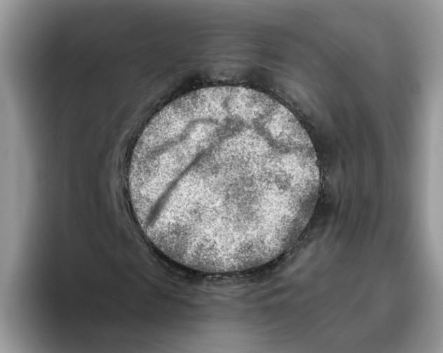 X0000093510817200711091719