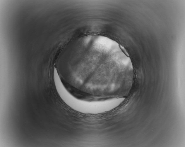 X0000093510818200711091719