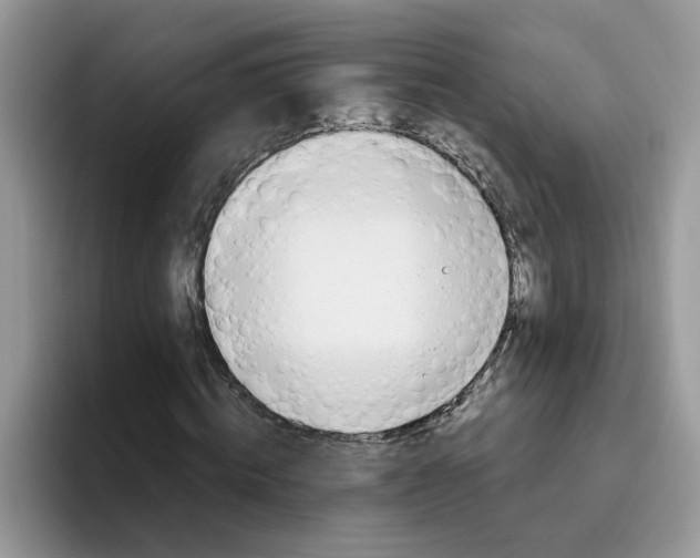 X0000093510820200711091719