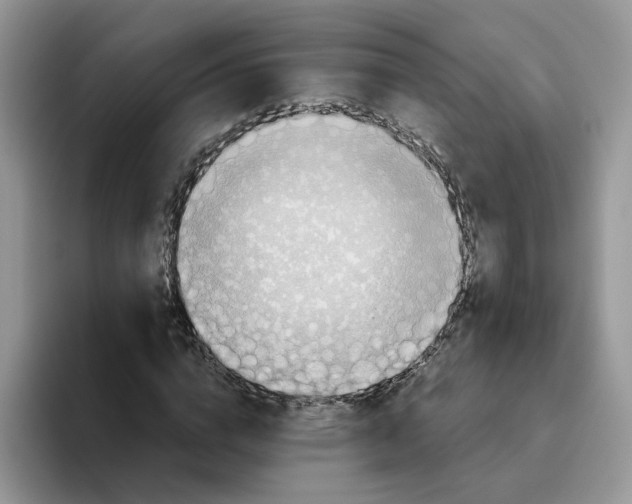 X0000093510824200711091719