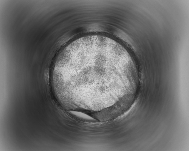 X0000093510825200711091719