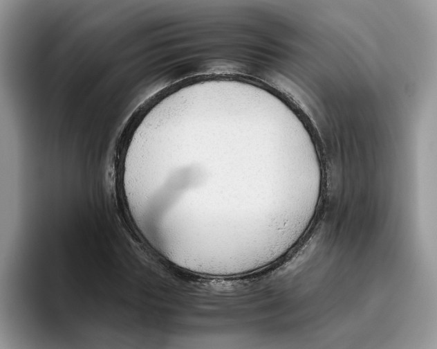 X0000093510827200711091719