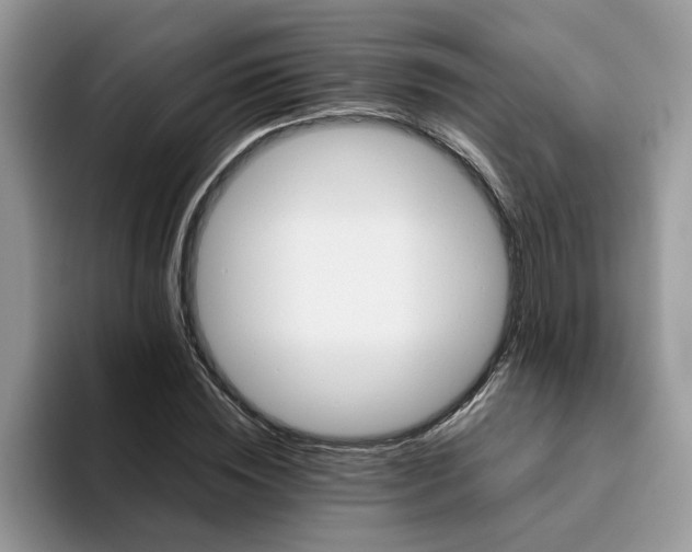 X0000093510828200711091719