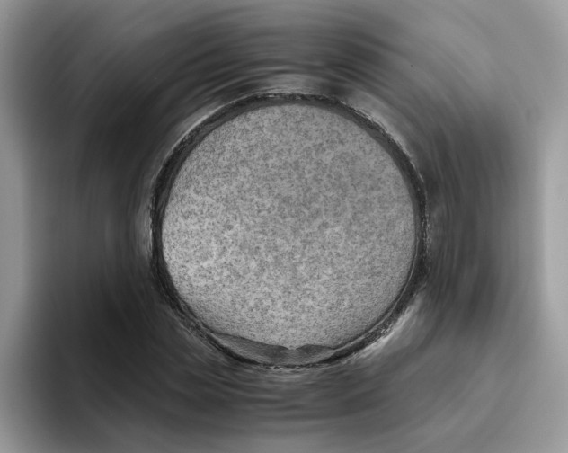 X0000093510829200711091719