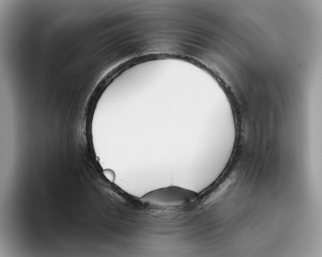 X0000093510830200711091719