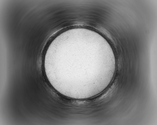 X0000093510831200711091719