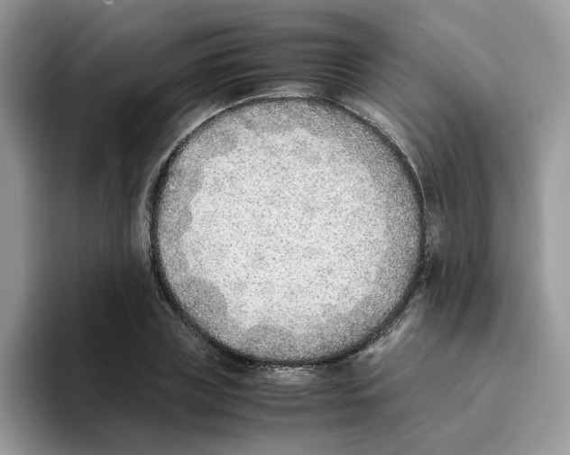 X0000093510835200711091719