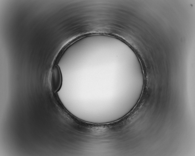 X0000093510838200711091719