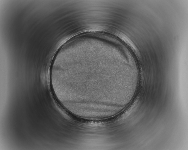 X0000093510842200711091719