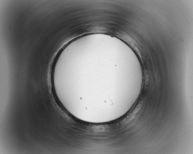 X0000093510843200711091719