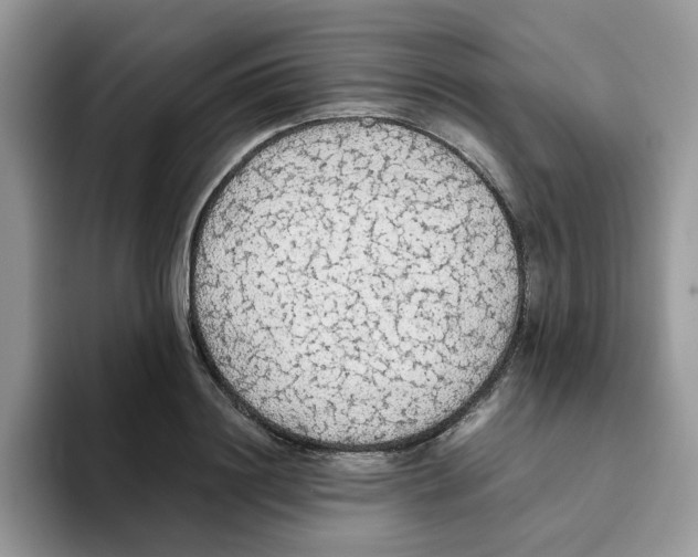 X0000093510844200711091719