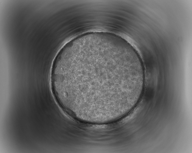 X0000093510845200711091719