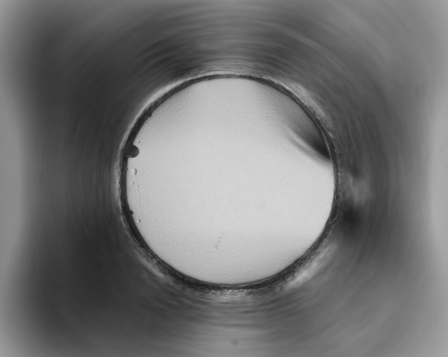 X0000093510846200711091719