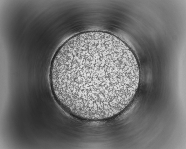 X0000093510847200711091719