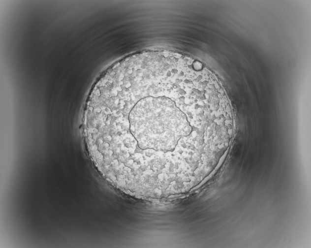 X0000093510848200711091720