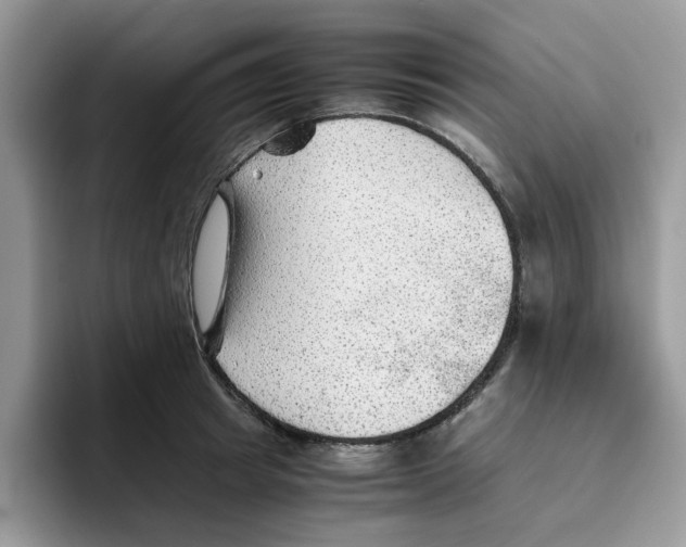 X0000093510849200711091720