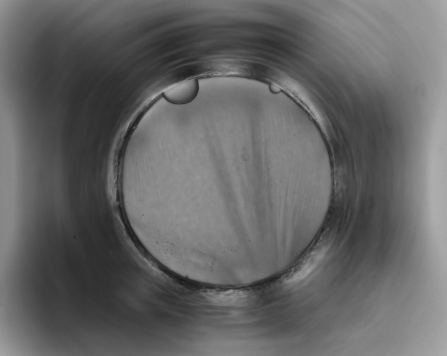 X0000093510851200711091720