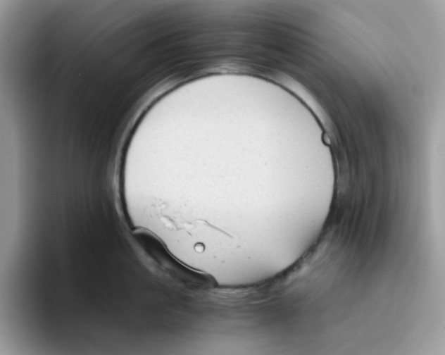 X0000093510861200711091720