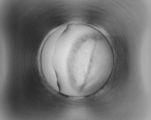 X0000093510864200711091720