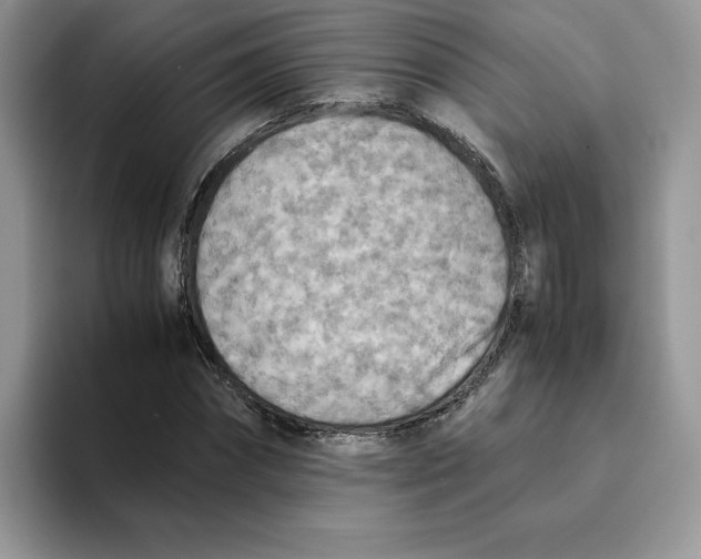 X0000093510874200711091719