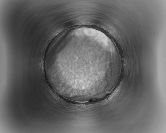 X0000093510881200711091719