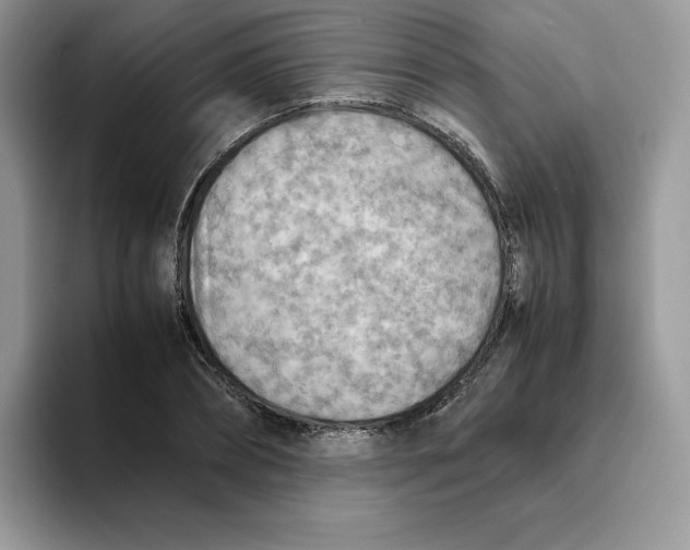 X0000093510882200711091719