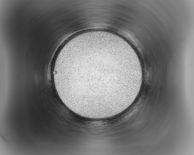 X0000093510883200711091719