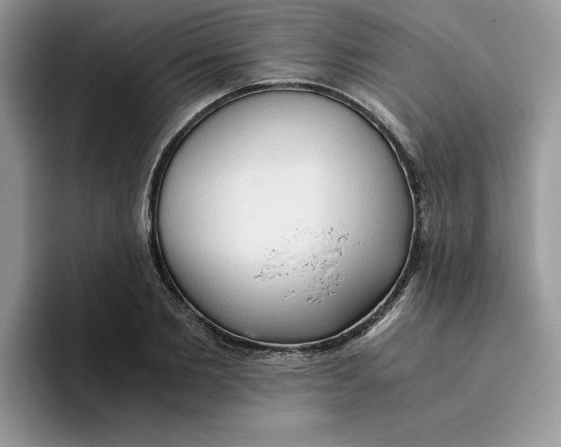 X0000093510885200711091719