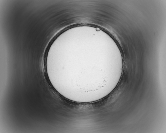 X0000093510887200711091719