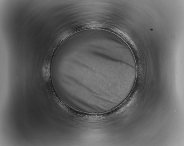 X0000093510889200711091719