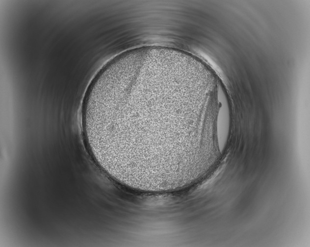 X0000093510891200711091719