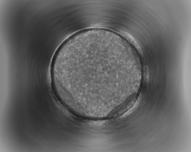 X0000093510892200711091719