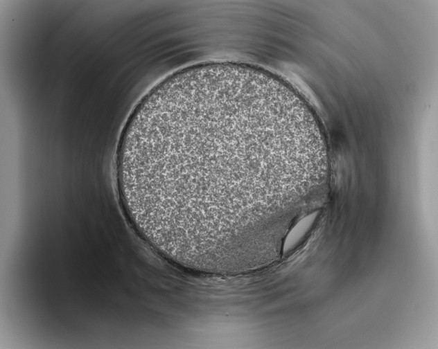 X0000093510895200711091719