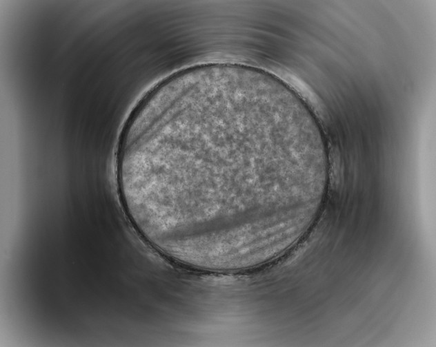 X0000093510896200711091719