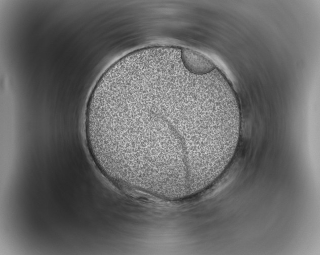 X0000093510903200711091719