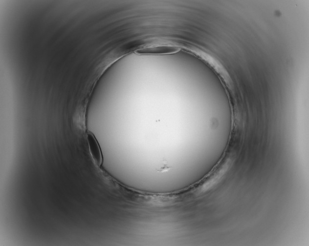 X0000093510905200711091719