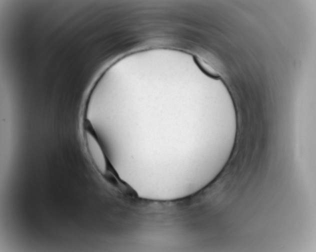 X0000093510912200711091719