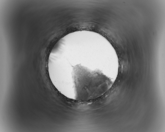 X0000093510913200711091718